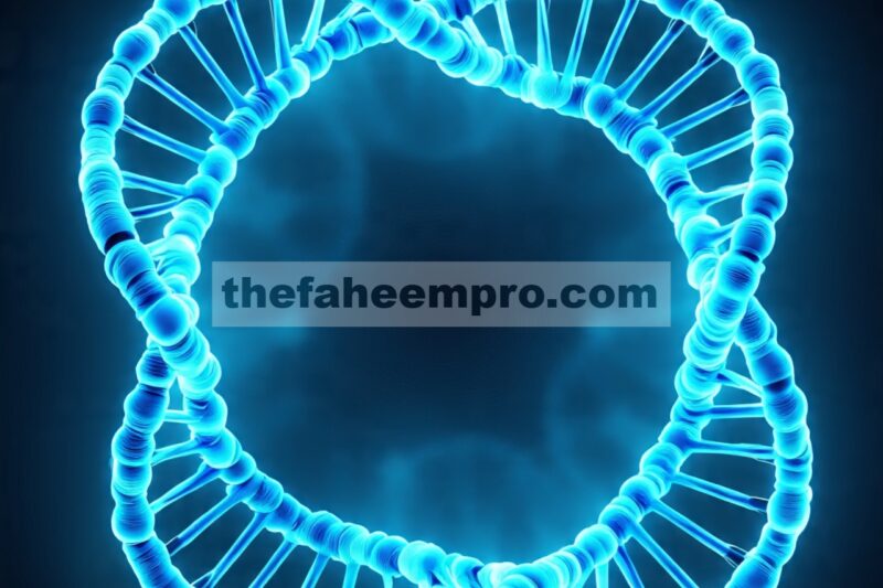 Donat Kompleks: Variasi Kecil dalam Urutan DNA Menentukan Kompleksitas Jalur dalam Nanotoroid DNA