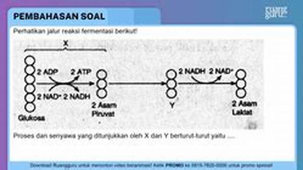 Jalur Reaksi