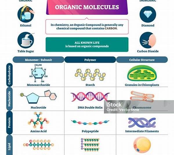Molekul Organik