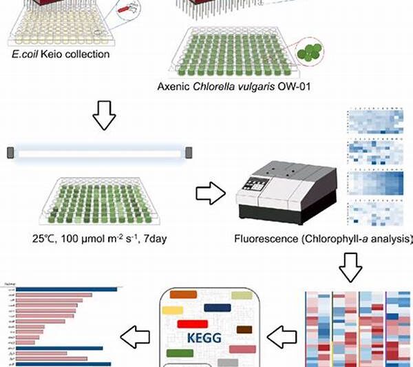 High Throughput Screening