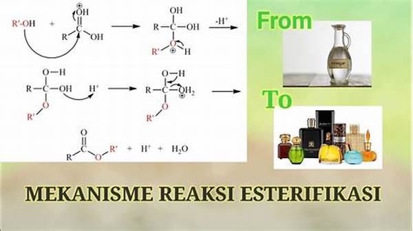 Reaksi Esterifikasi Simulasi
